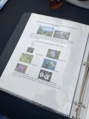 Round Rock Honey by null