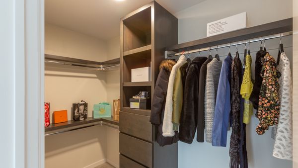 St Paul Collection by null