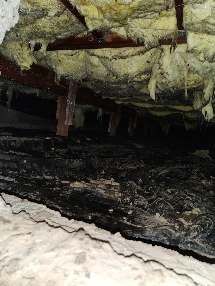 Slide of Ace Flood Response