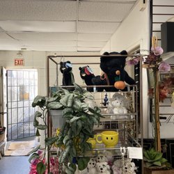 Kiku Florist & Gifts