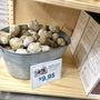 Photo of Earthbound Trading Company