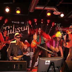 Groove Labs - Onstage performing with the band at the Gibson Showroom.