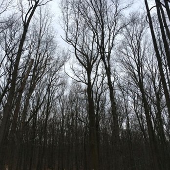 Boyd Big Tree Preserve Conservation Area - Parks Near Me - Harrisburg, Pennsylvania