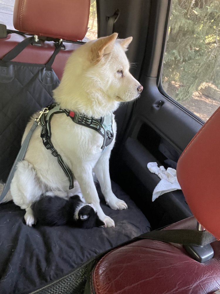 RANS PROPERTY MANAGEMENT Updated August 2024 10 Reviews 2473 Dale