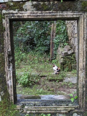 Houtong Cat Village by null