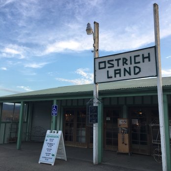 Ostrichland USA - Attraction Farms Near Me - Solvang, California