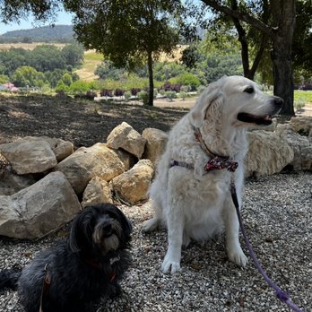 Jada Vineyard & Winery - Wineries Near Me - Paso Robles, California Jada Vineyard & Winery - Wineries Near Me - Paso Robles, California