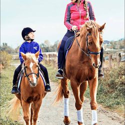 Royale Equestrian Centre