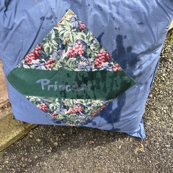 Forward Storage - The outside of pillowcase was wet and the pillow itself was saturated and this was stored in a plastic bag on top of other items - Self Storage Near Me - LaGrange, Georgia
