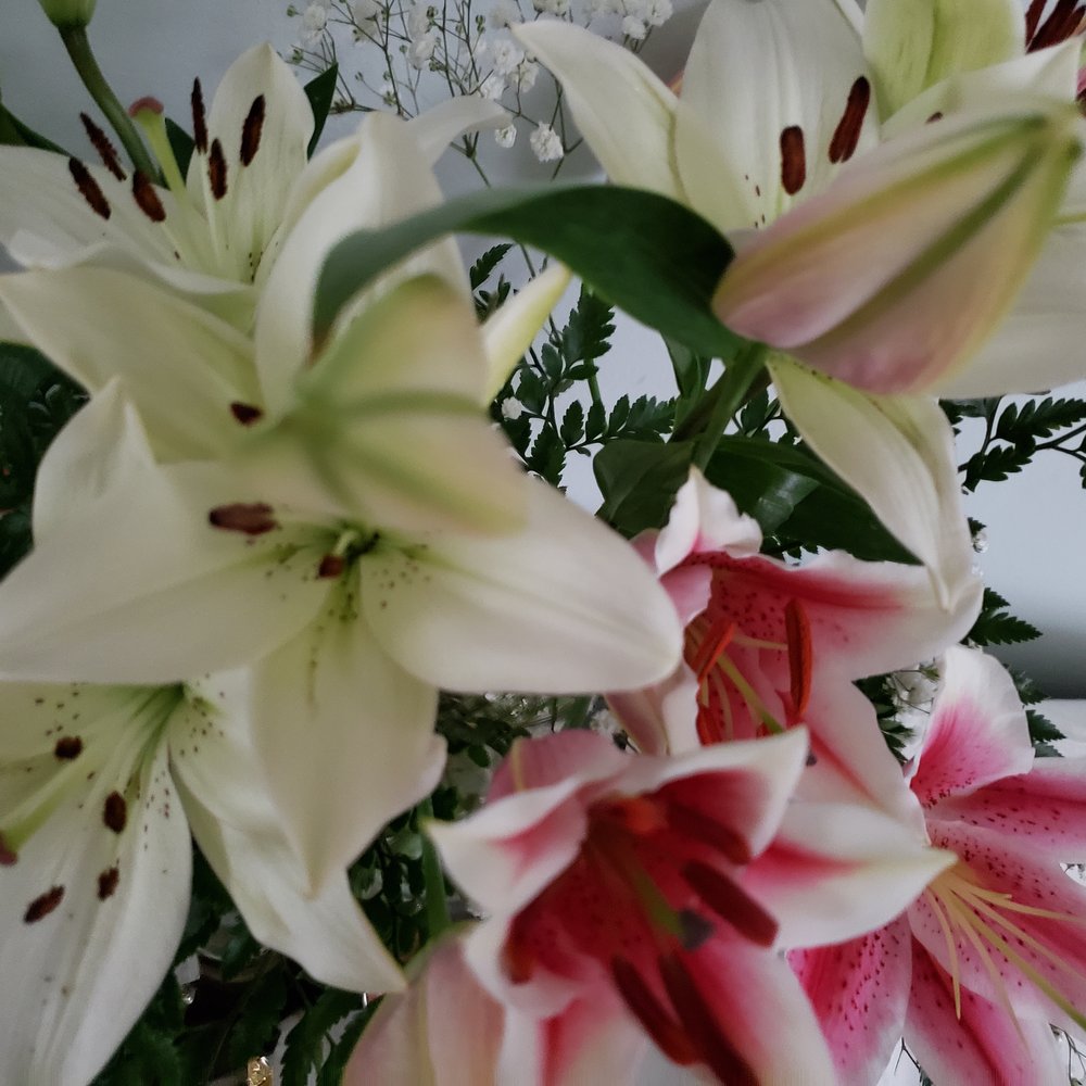 Flower Barn - Florists Near Me - Poughkeepsie, New York Flower Barn - Florists Near Me - Poughkeepsie, New York
