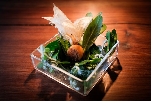 Harbor House Inn by null