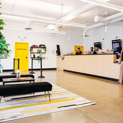 Revolution Dispensary - Normal