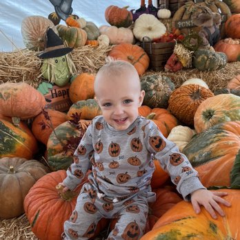 Pumpkin Station - pumpkins - Kids Activities Near Me - Bonita, California Pumpkin Station - pumpkins - Kids Activities Near Me - Bonita, California