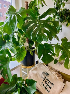 The Botanical Bar by null