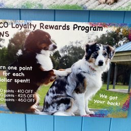 Reward Program