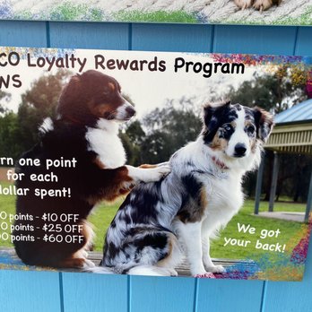 Disco Paws - Reward Program - Pet Groomers Near Me - Astoria, New York