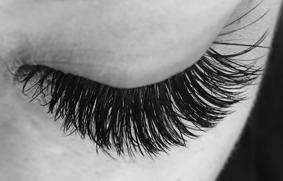 Feather Lash by Theresa Logo