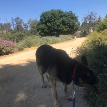 Silver Lake Reservoir - Hmm smells good - Hiking Near Me - Los Angeles, California