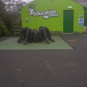 Belfast Zoo - Spider statue - Zoos Near Me - Belfast, BFS