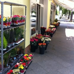 Blumen Hinterstoisser