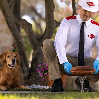 Orkin - Pest Control Near Me - Naperville, Illinois Orkin - Pest Control Near Me - Naperville, Illinois