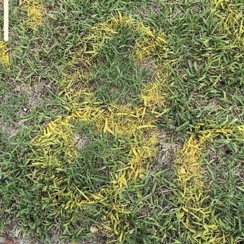 Father & Son Landscaping - Marked Patches of Bermuda - Landscaping Near Me