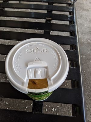 Fay Da Bakery by null