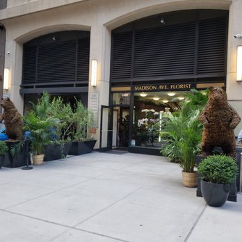 Madison Avenue Florist - Florists Near Me - New York, New York Madison Avenue Florist - Florists Near Me - New York, New York