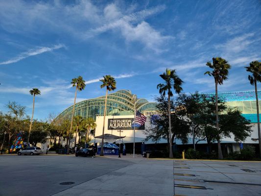 The Florida Aquarium by null