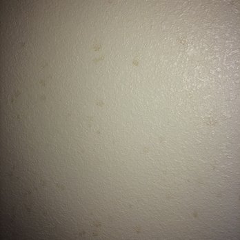 Quality Inn - Look at this really what is it - Hotels Near Me - Greeneville, Tennessee