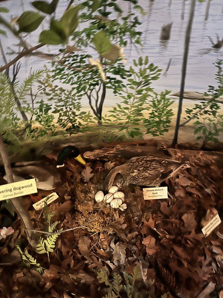 MANASQUAN RESERVOIR ENVIRONMENTAL CENTER Updated August 2024 31