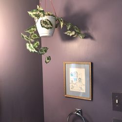 Dockside Bed & Breakfast - The bathroom with plastic plants