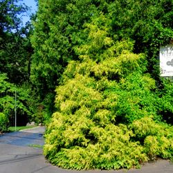 The Gardens at Mill Fleurs - Entrance to the Gardens at Mill Fleurs