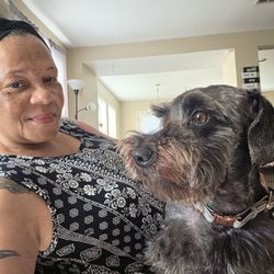 Dawg Life Doggy Daycare & Boarding- Dallas - handsome furrbaby
