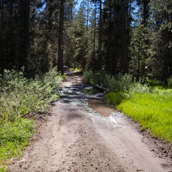Yosemite Creek Campground - Yosemite Creek Campground: the road to the campground. - Campgrounds Near Me - Mariposa County, California Yosemite Creek Campground - Yosemite Creek Campground: the road to the campground. - Campgrounds Near Me - Mariposa County, California
