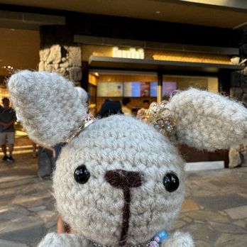 Junbi - Waikiki - Happy National Bunny Day! - Coffee & Tea Near Me - Honolulu, Hawaii Junbi - Waikiki - Happy National Bunny Day! - Coffee & Tea Near Me - Honolulu, Hawaii