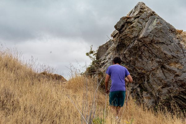 Coyote Hills Regional Park by null