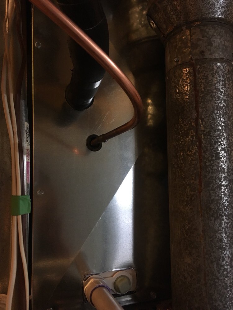 Slide of Ralph Mann & Sons