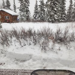 Little Bear Guest Cabins - Arrived with the first snow fall