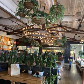 Blanco Cocina + Cantina - Inside - Tacos Near Me - Phoenix, Arizona