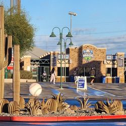 Cactus Yards
