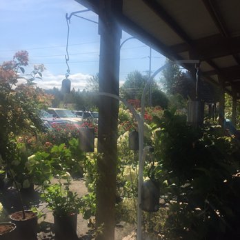 Boring Bean - Coffee & Tea Near Me - Boring, Oregon