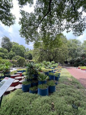 Jardín Botánico del Bosque de Chapultepec by null