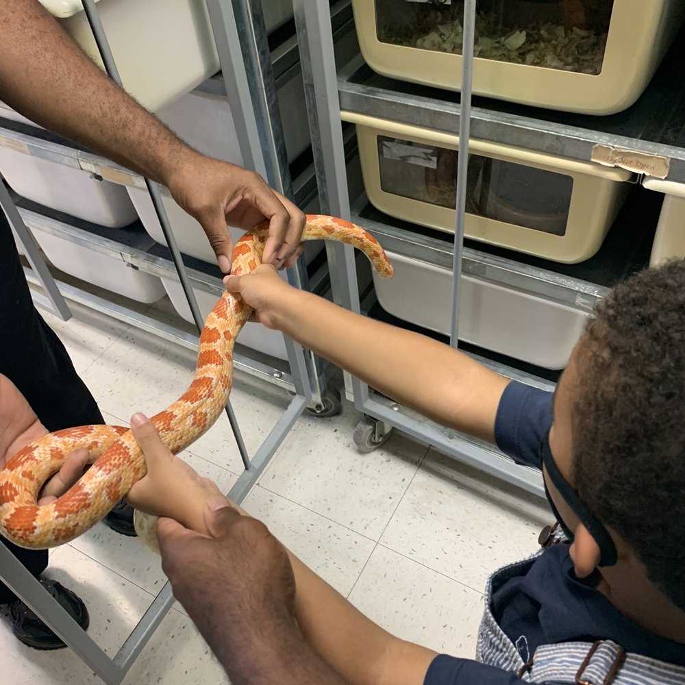 Aquatic Critter - My little man holding a snake! I was so proud of my big boy!! - Aquarium Services Near Me - Nashville, Tennessee