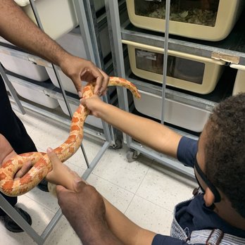 Aquatic Critter - My little man holding a snake! I was so proud of my big boy!! - Aquarium Services Near Me - Nashville, Tennessee Aquatic Critter - My little man holding a snake! I was so proud of my big boy!! - Aquarium Services Near Me - Nashville, Tennessee