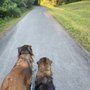 Photo of Third Fork Creek Trail