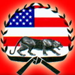 Paul Prendergast Karate - Paul Prendergast Karate Logo