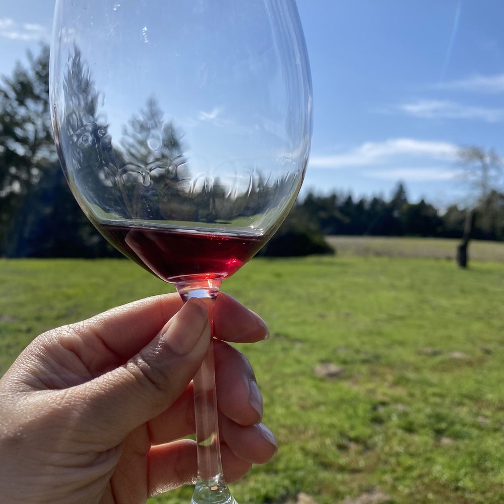 Annapolis Winery - a hand holding a wine glass - Wineries Near Me - Annapolis, California Annapolis Winery - a hand holding a wine glass - Wineries Near Me - Annapolis, California