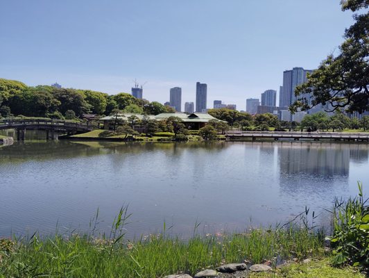 Hamarikyu Gardens by null