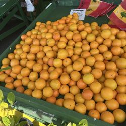 R & R Fruit Stand - Oranges